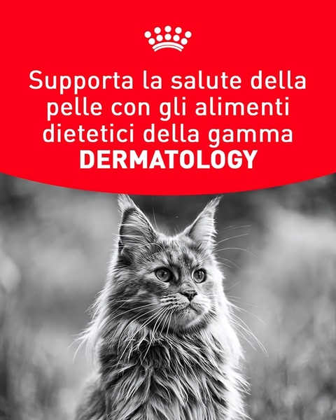 A high-contrast advertisement for specialized veterinary pet food, utilizing a monochromatic animal portrait and a bold red header for brand authority.